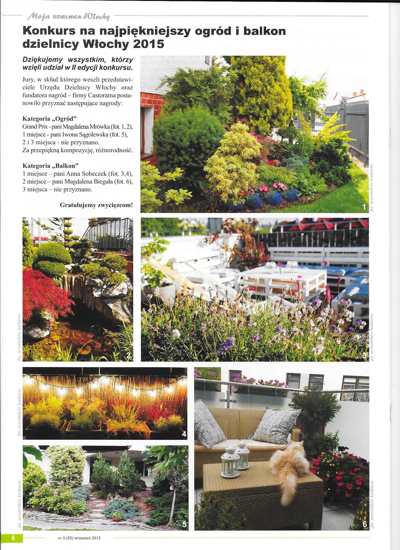 zdjecie gazeta konkurs 20150006